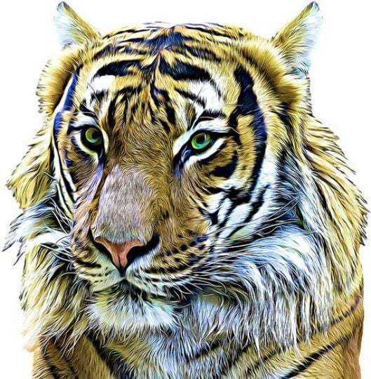 jungle tiger head png jpg clipart printable art digital download animals safari art 